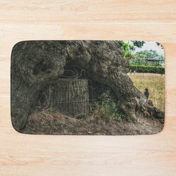 Item preview, Stump Wrapped in Barbed Wire designed and sold by SarahEL17.