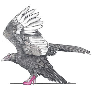 Artwork thumbnail, Turkey Vulture in Princess Shoes by JimsBirds