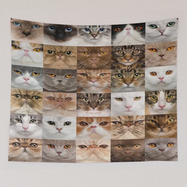 Artikelvorschau, Gesichtsform der Katze entworfen und verkauft von MobertsonArt.