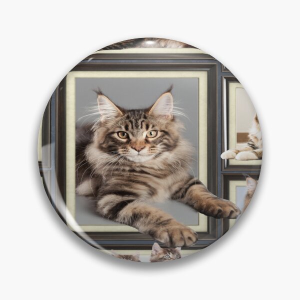 Item preview, Maine coon cat picture frames designed and sold by MobertsonArt.