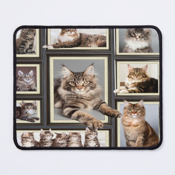 Item preview, Maine coon cat picture frames designed and sold by MobertsonArt.