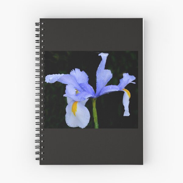 Item preview, Iris in Blue......... designed and sold by lynn carter.