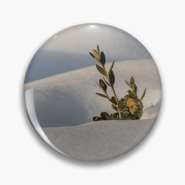 Item preview, Sticking Up Out of a Snow Dune designed and sold by Gerda Grice Photography.
