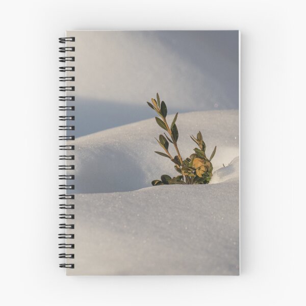 Item preview, Sticking Up Out of a Snow Dune designed and sold by Gerda Grice Photography.