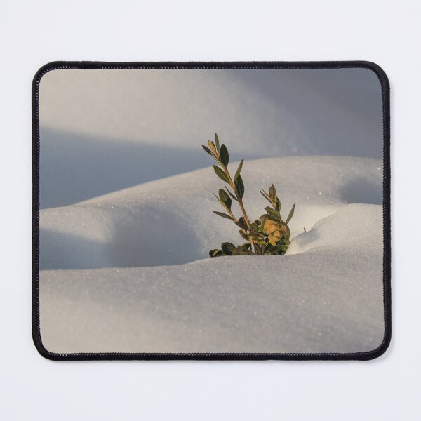 Item preview, Sticking Up Out of a Snow Dune designed and sold by Gerda Grice Photography.