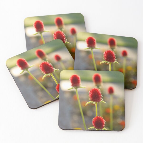 Item preview, "Makhamali" designed and sold by Hughesy-foto.