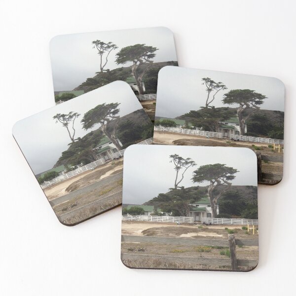 Item preview, Santa Rosa Island Original Ranch designed and sold by MADowdPhotos.