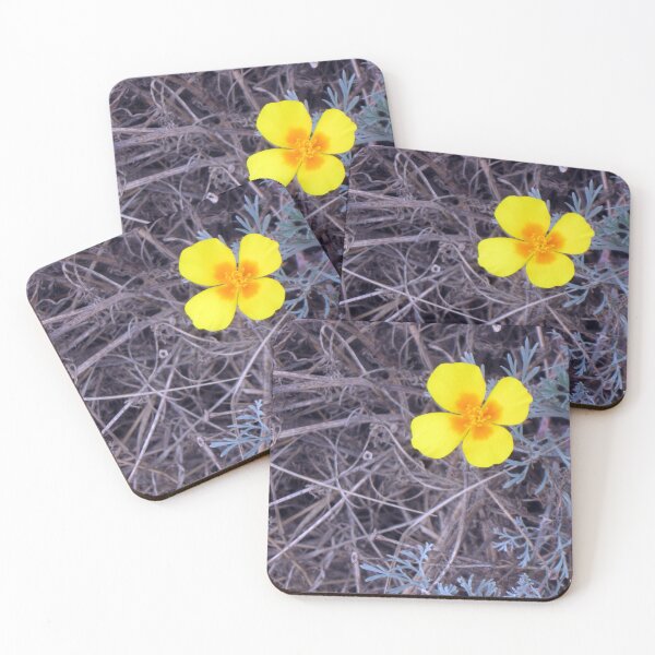 Item preview, Santa Rosa Island Wildflower designed and sold by MADowdPhotos.