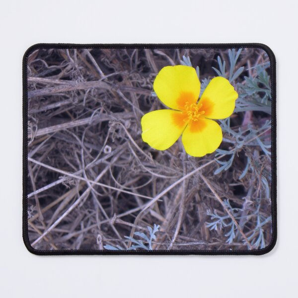 Item preview, Santa Rosa Island Wildflower designed and sold by MADowdPhotos.