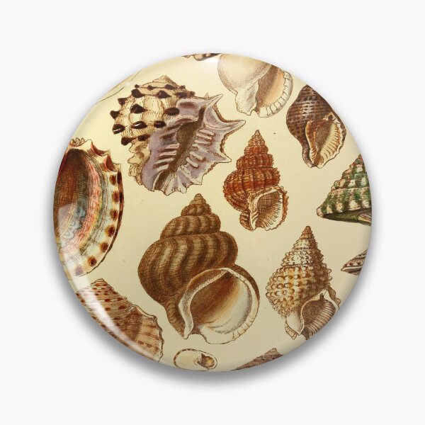 Item preview, Seashells scientific designed and sold by MatildaWatson.