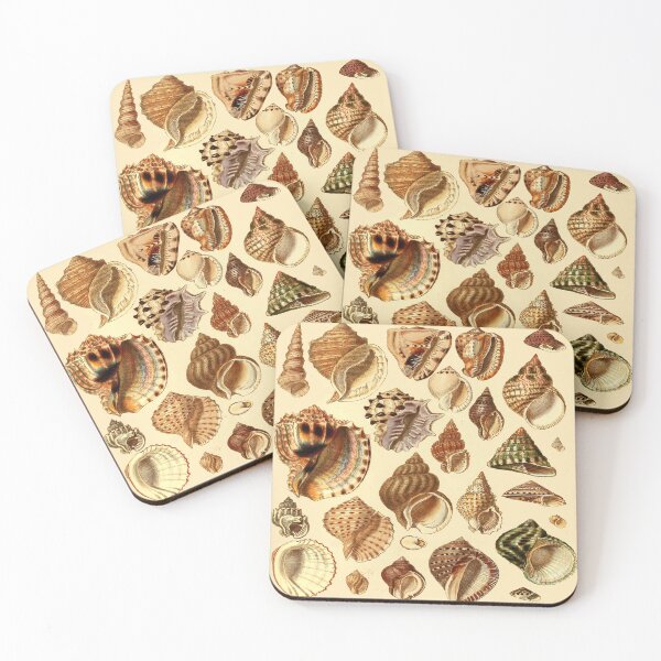Item preview, Seashells scientific designed and sold by MatildaWatson.