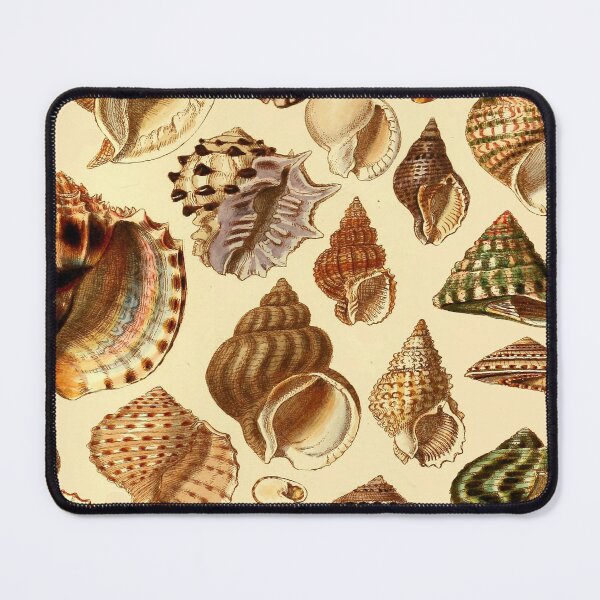 Item preview, Seashells scientific designed and sold by MatildaWatson.