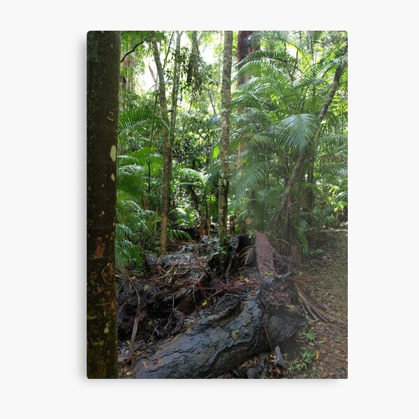Item preview, Life Cycle  designed and sold by W E NIXON  PHOTOGRAPHY.