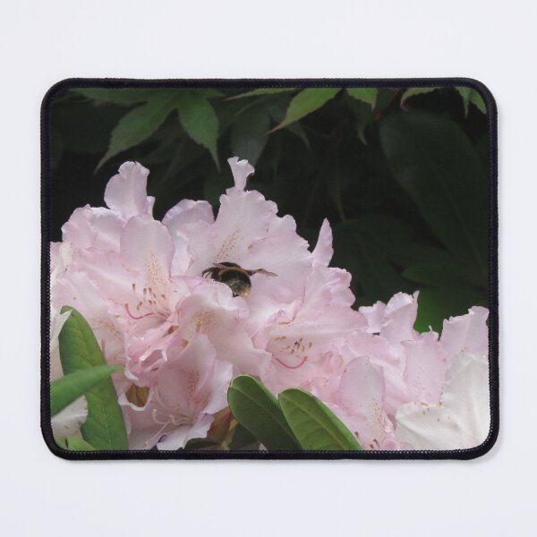 Item preview, Pink Rhododendrons - Beige Black And Pink Abstract Flower Art - Bumblebees designed and sold by Oz64.