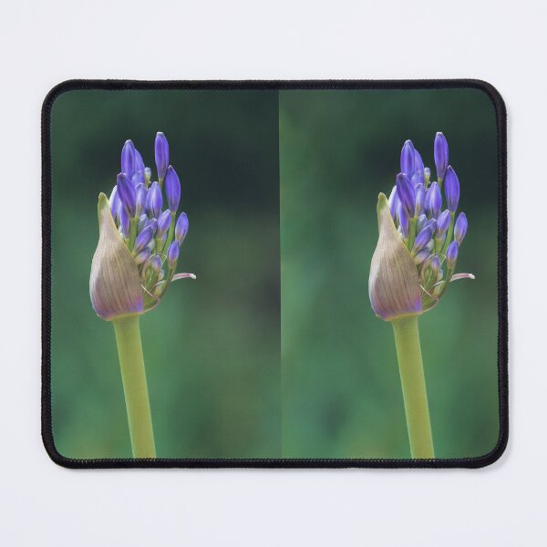Item preview, Blue flower buds designed and sold by kasthu.