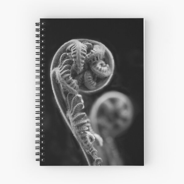 Item preview, Patterns in Nature - Tree Fern Frond designed and sold by Clare Colins.