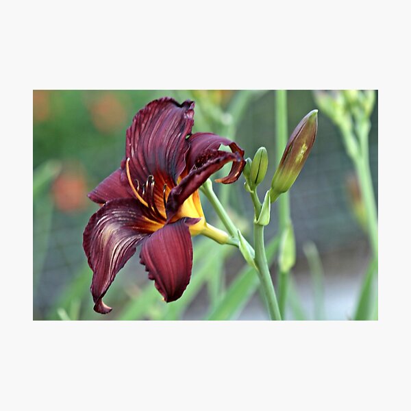 Item preview, You are so beautiful designed and sold by myraj.