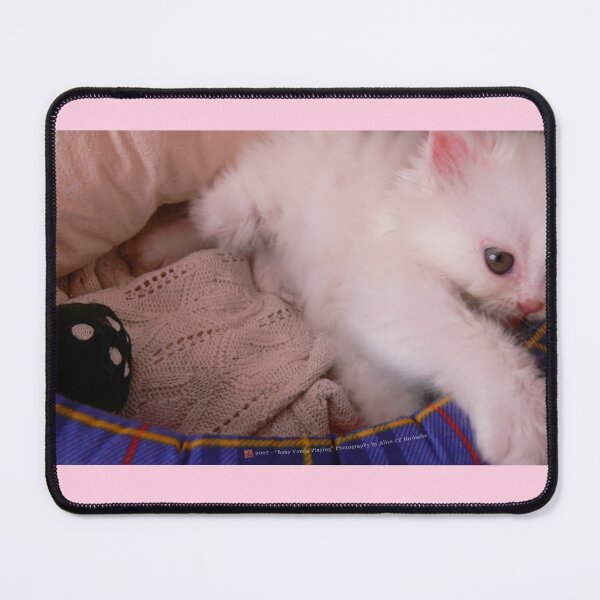Item preview, White Persian Fluffy Baby Cat Vanda Playing (Photo by ACCI) designed and sold by VanyssaGraphics.