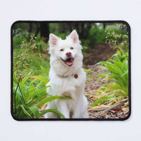 Item preview, Very Adorable White Dog Photo Design designed and sold by Amazing Arts Designs.