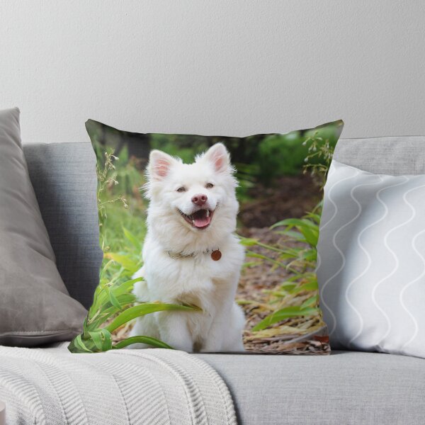 Item preview, Very Adorable White Dog Photo Design  designed and sold by Amazing Arts Designs.