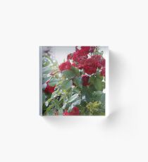 Red Roses For You! Acrylic Block