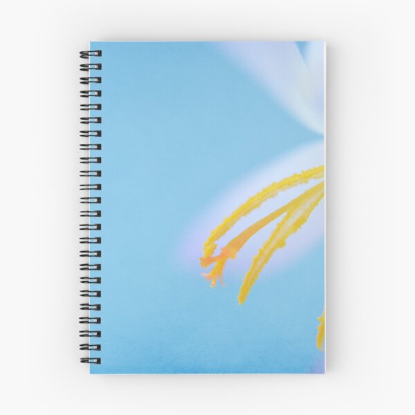 Item preview, Separate Skies designed and sold by Denise Abé.