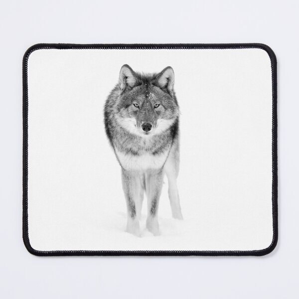 Item preview, Coyote in Black and White designed and sold by James Cumming.