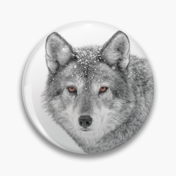 Item preview, Coyote in WInter designed and sold by James Cumming.