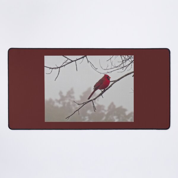 Item preview, Cardinal in Fog designed and sold by Millerstef.