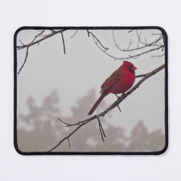 Item preview, Cardinal in Fog designed and sold by Millerstef.