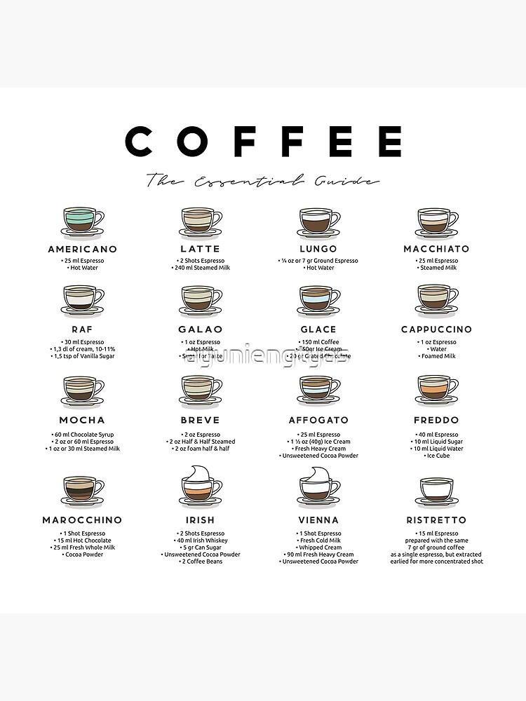 Essential Guide to Coffee