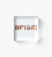 Spice Girls Acrylic Block