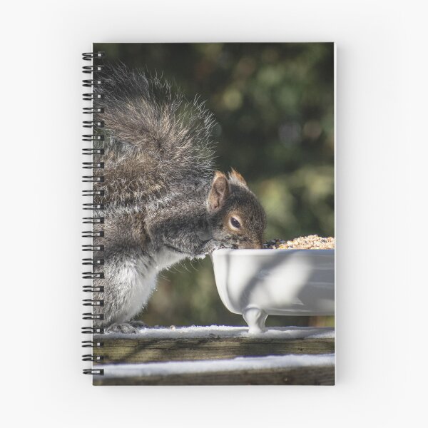Item preview, Time for a snack #3 designed and sold by Imalairdphotos.
