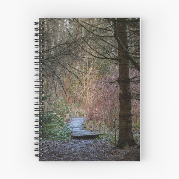 Item preview, forest path on the Brocken designed and sold by OskiOnTour.