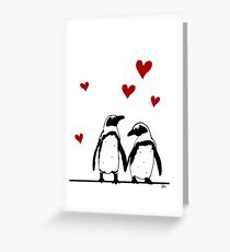 African Penguin Love Greeting Card