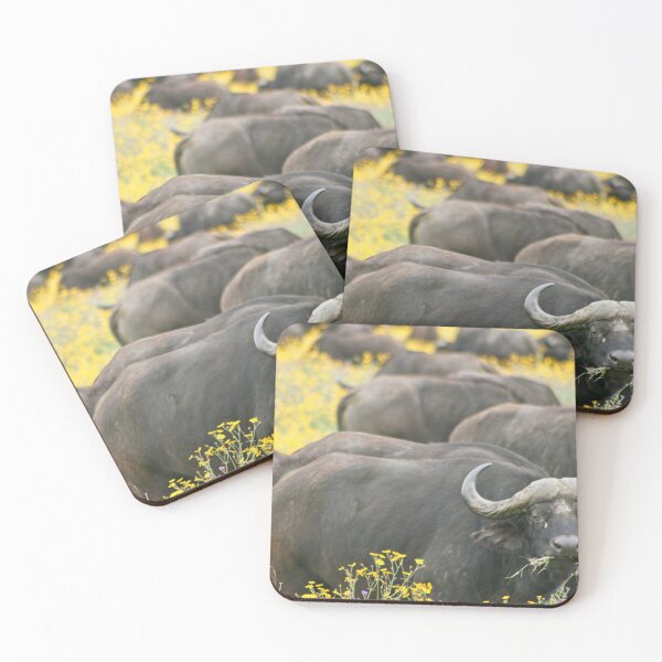 Item preview, African Buffalo designed and sold by Tristan Barrington Photography.