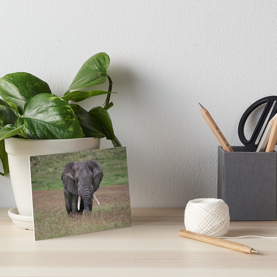 Item preview, Art Board Print designed and sold by blackmamba5.