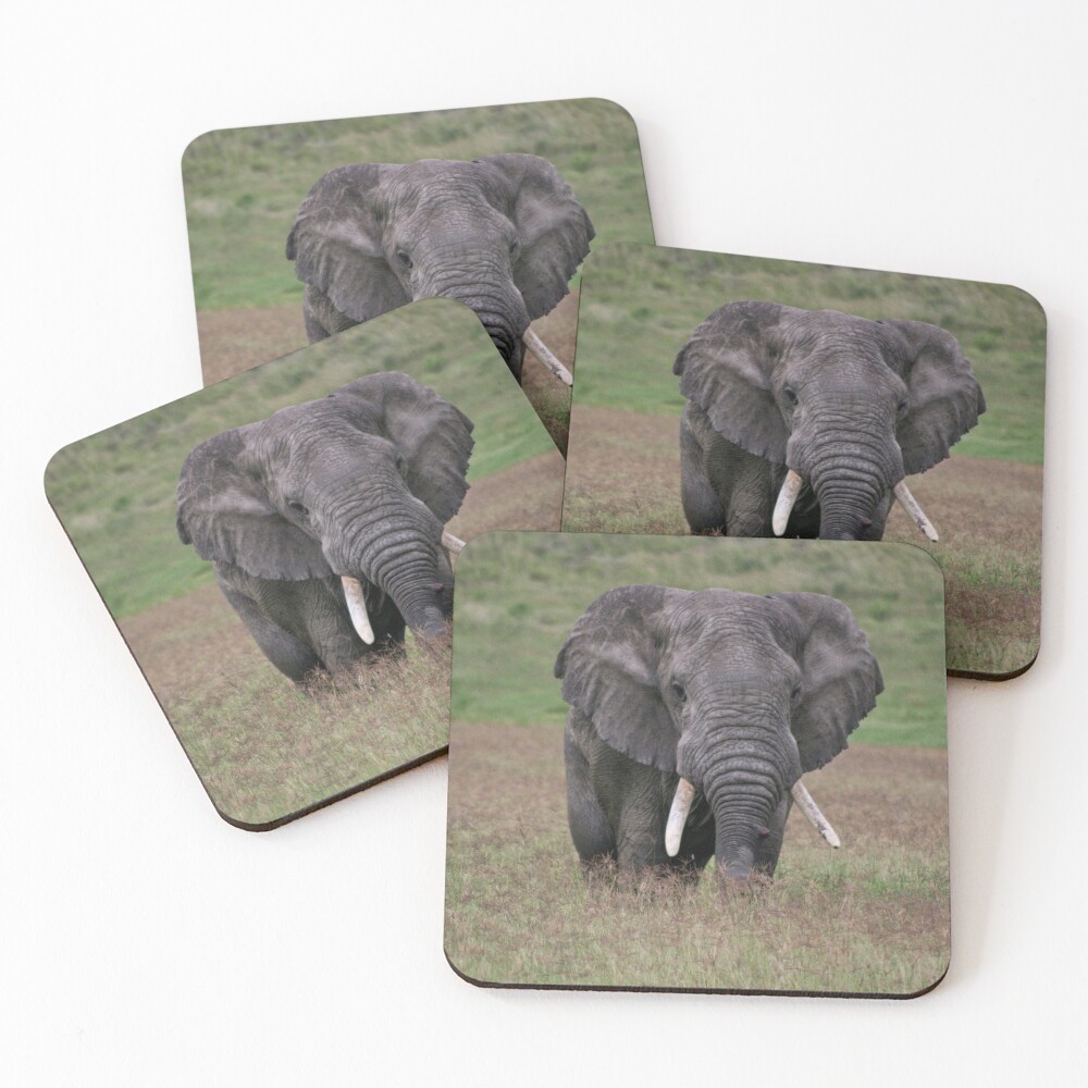 Item preview, Coasters (Set of 4) designed and sold by blackmamba5.