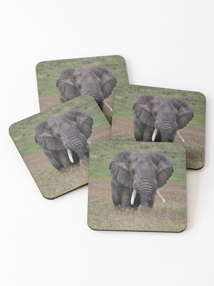 Thumbnail 1 of 5, Coasters (Set of 4), Elephant designed and sold by blackmamba5.