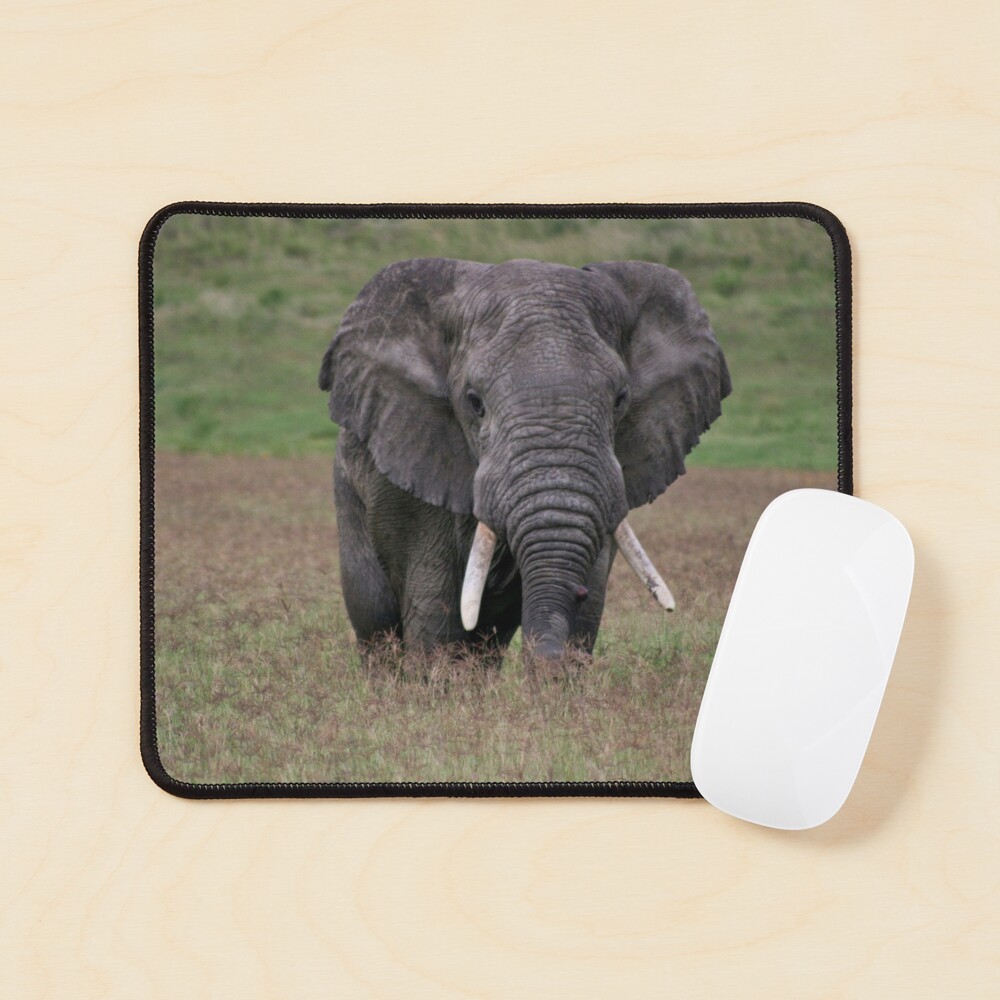 Item preview, Mouse Pad designed and sold by blackmamba5.