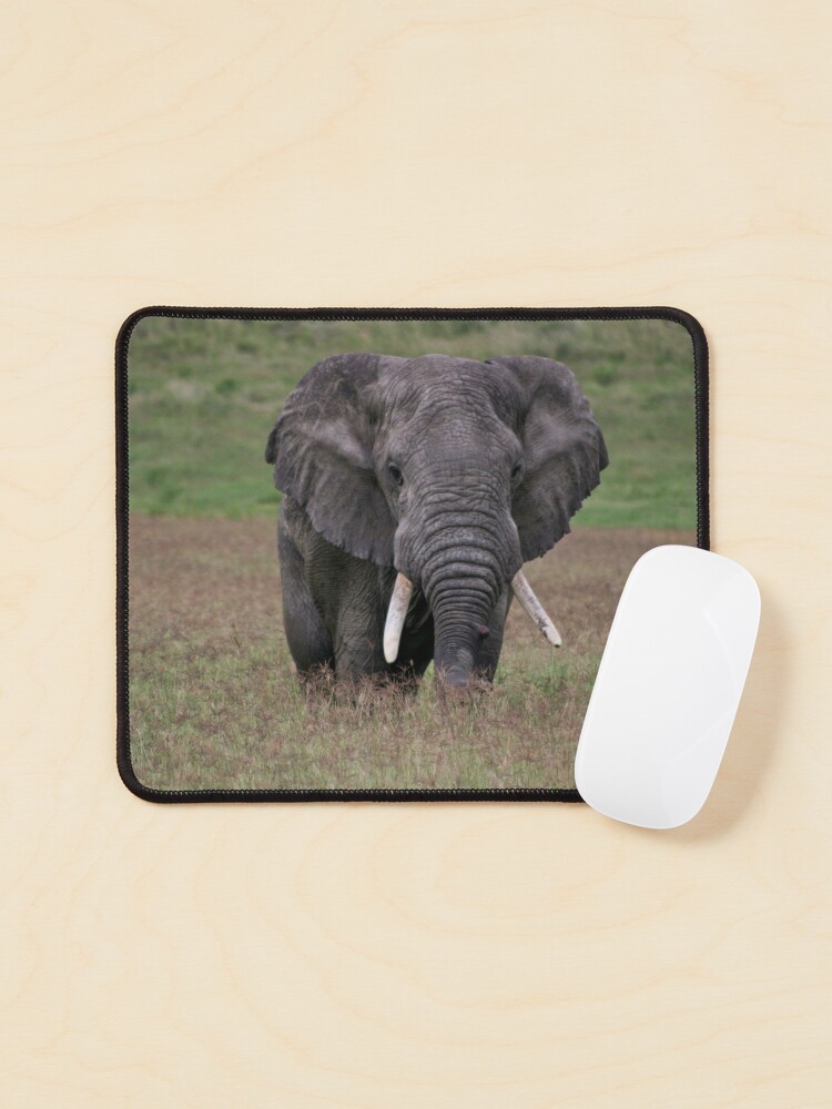 Thumbnail 1 of 5, Mouse Pad, Elephant designed and sold by blackmamba5.