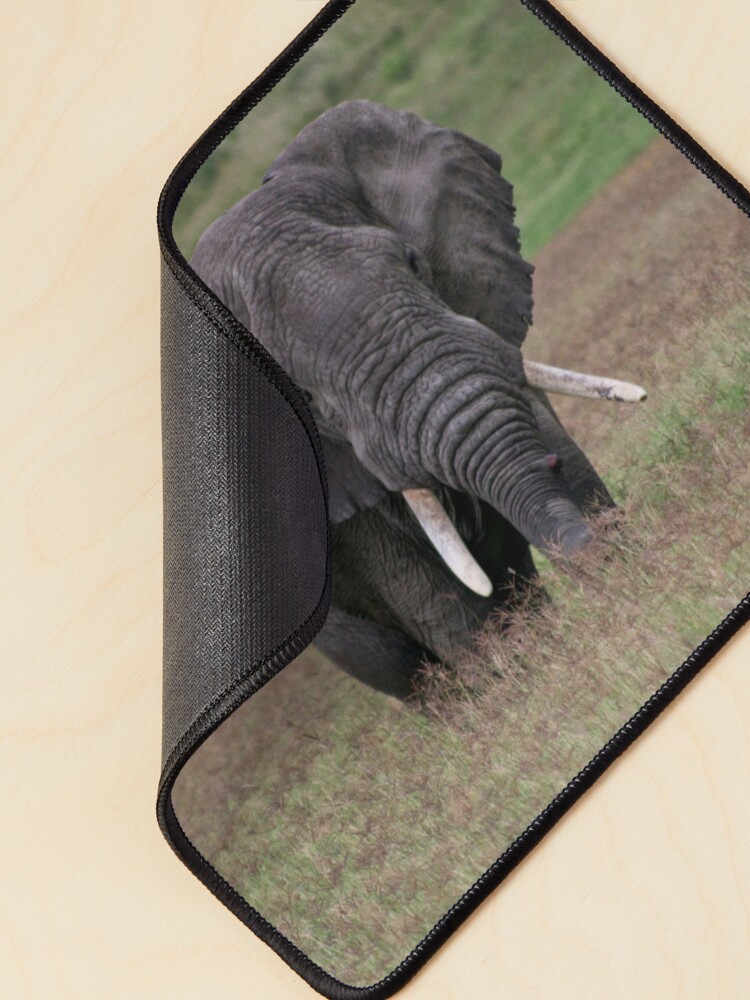 Thumbnail 2 of 5, Mouse Pad, Elephant designed and sold by blackmamba5.
