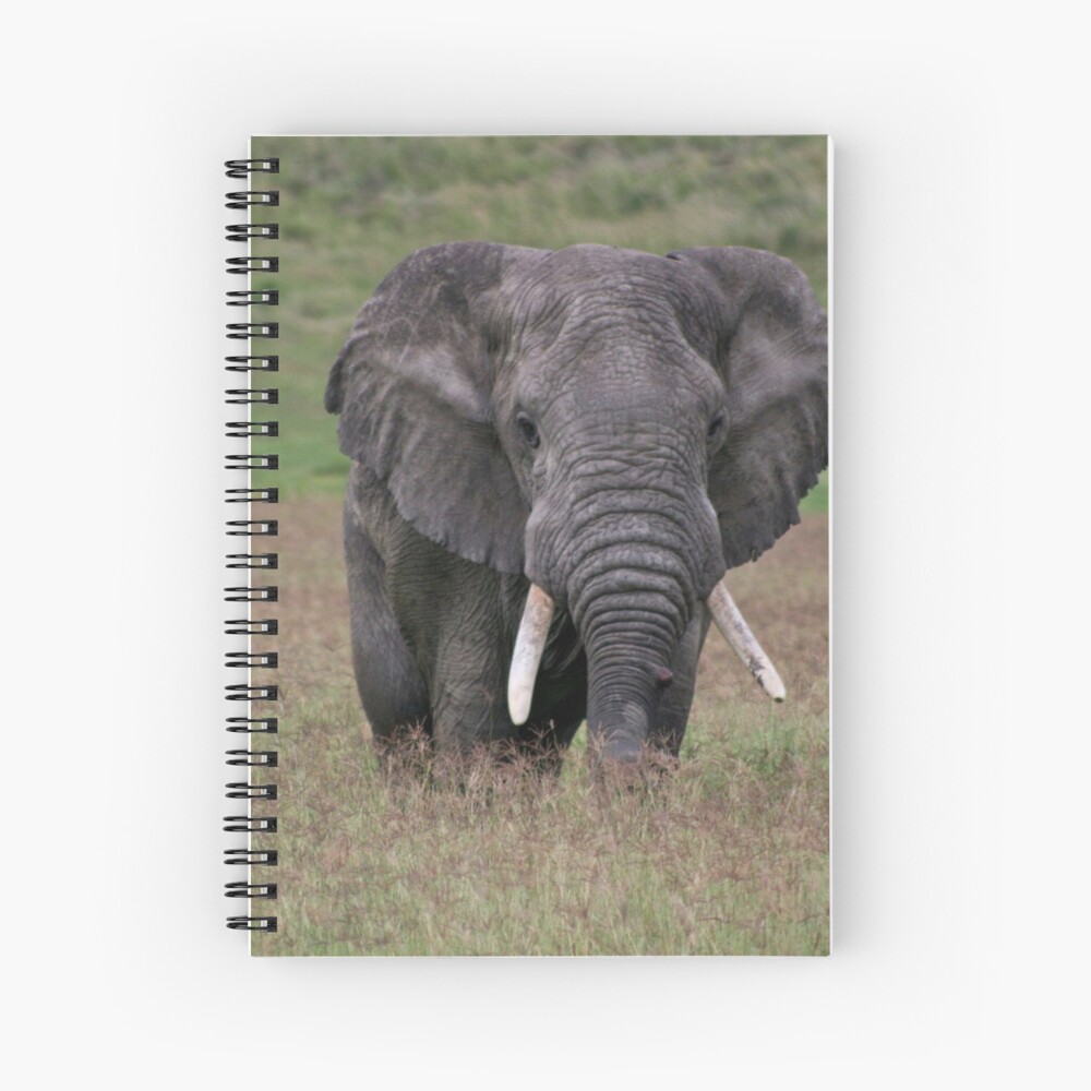 Item preview, Spiral Notebook designed and sold by blackmamba5.