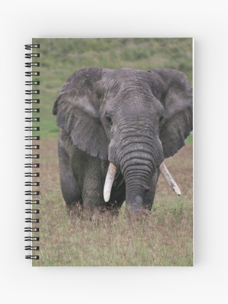 Thumbnail 1 of 3, Journal, Elephant designed and sold by blackmamba5.