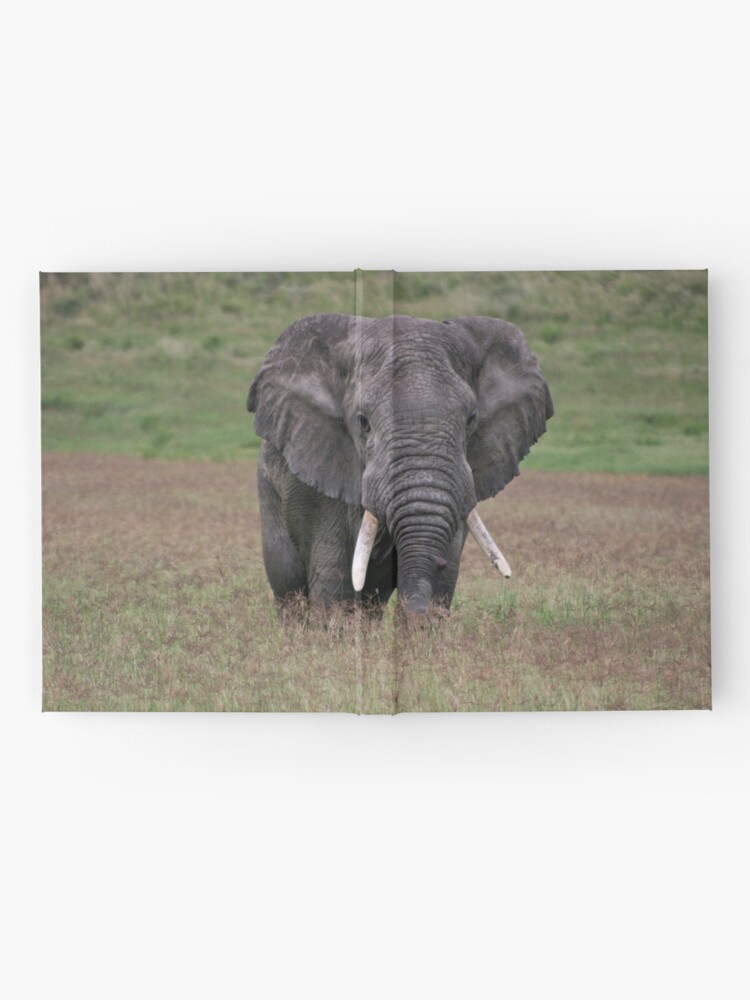 Thumbnail 2 of 3, Journal, Elephant designed and sold by blackmamba5.