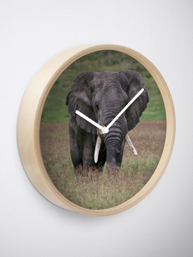 Thumbnail 1 of 4, Clock, Elephant designed and sold by blackmamba5.