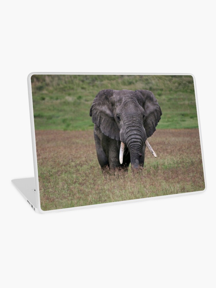 Thumbnail 1 of 2, Laptop Skin, Elephant designed and sold by blackmamba5.
