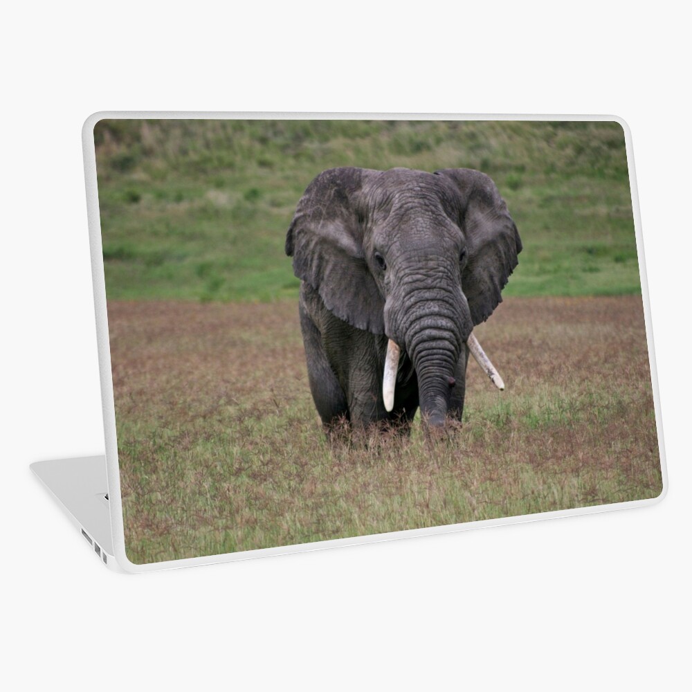 Item preview, Laptop Skin designed and sold by blackmamba5.