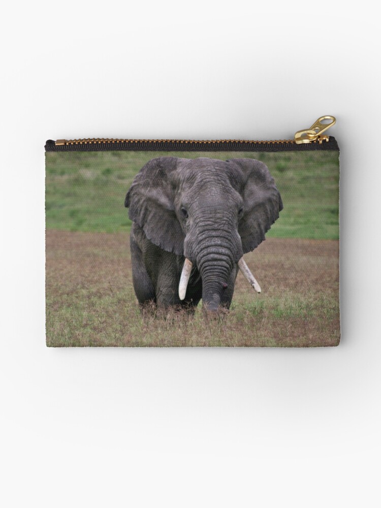 Thumbnail 1 of 4, Zipper Pouch, Elephant designed and sold by blackmamba5.