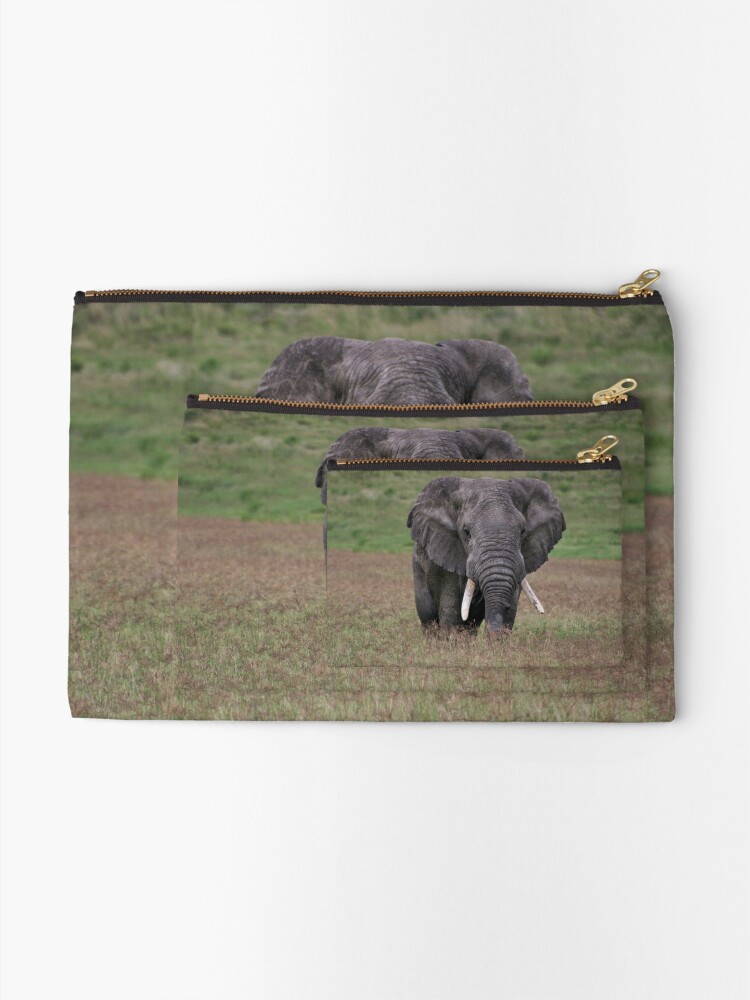 Thumbnail 2 of 4, Zipper Pouch, Elephant designed and sold by blackmamba5.